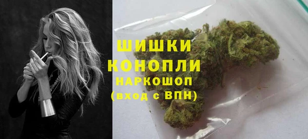 гидра Новокубанск