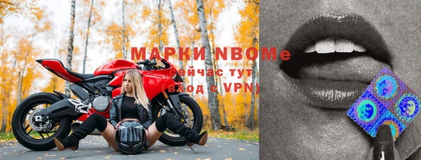 гидра Новокубанск