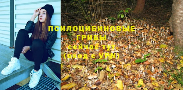 дживик Тобольск