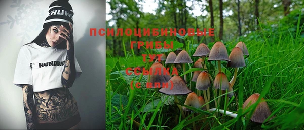 круглые Абаза