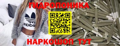 крисы Азнакаево