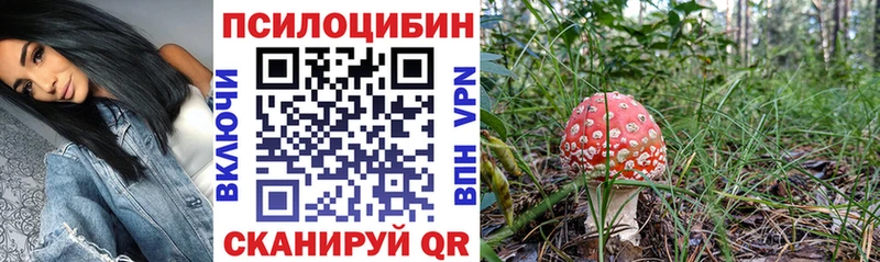 Галлюциногенные грибы Psilocybine cubensis  ОМГ ОМГ зеркало  Абинск  магазин   
