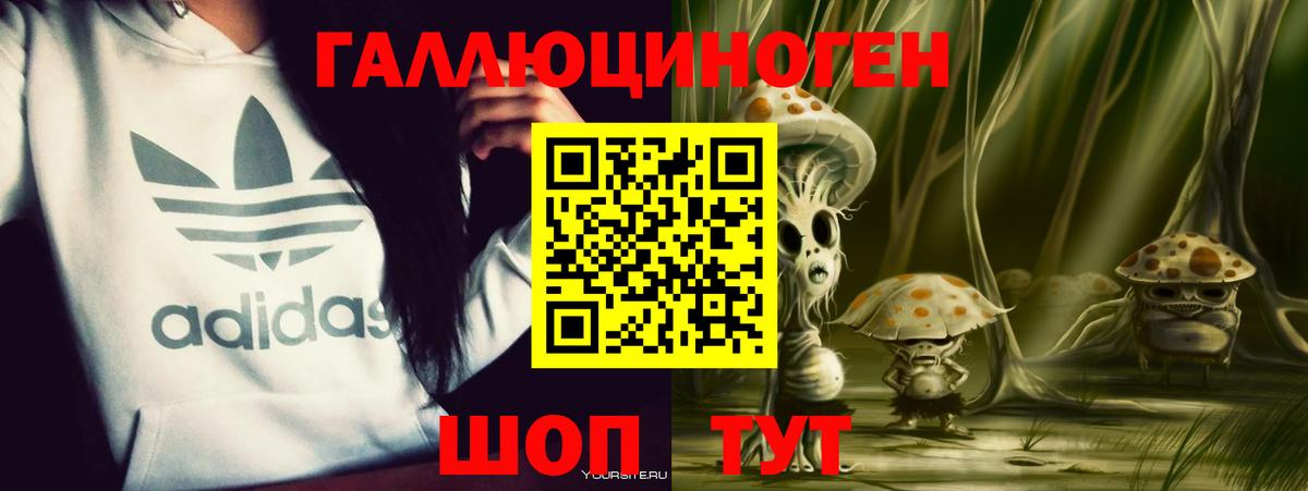 Абинск  Галлюциногенные грибы ЛСД  купить закладку  Вход с VPN 
